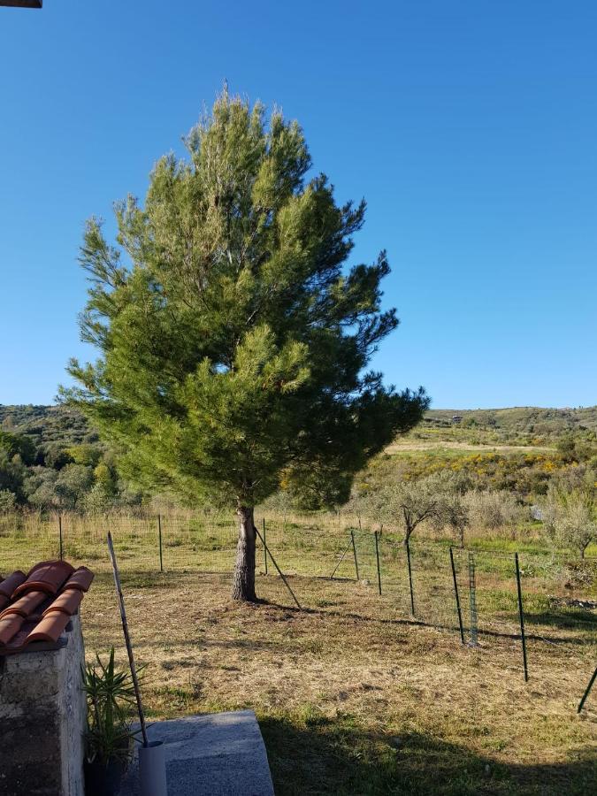 Villetta Nel Verde Ascea Eksteriør billede
